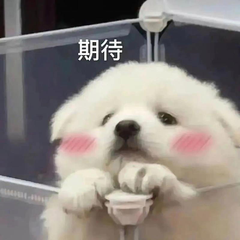 不用死磕工位，上班也能自在尽兴，广东这波无班味工作我直接心动广东小伙上班摸鱼打游