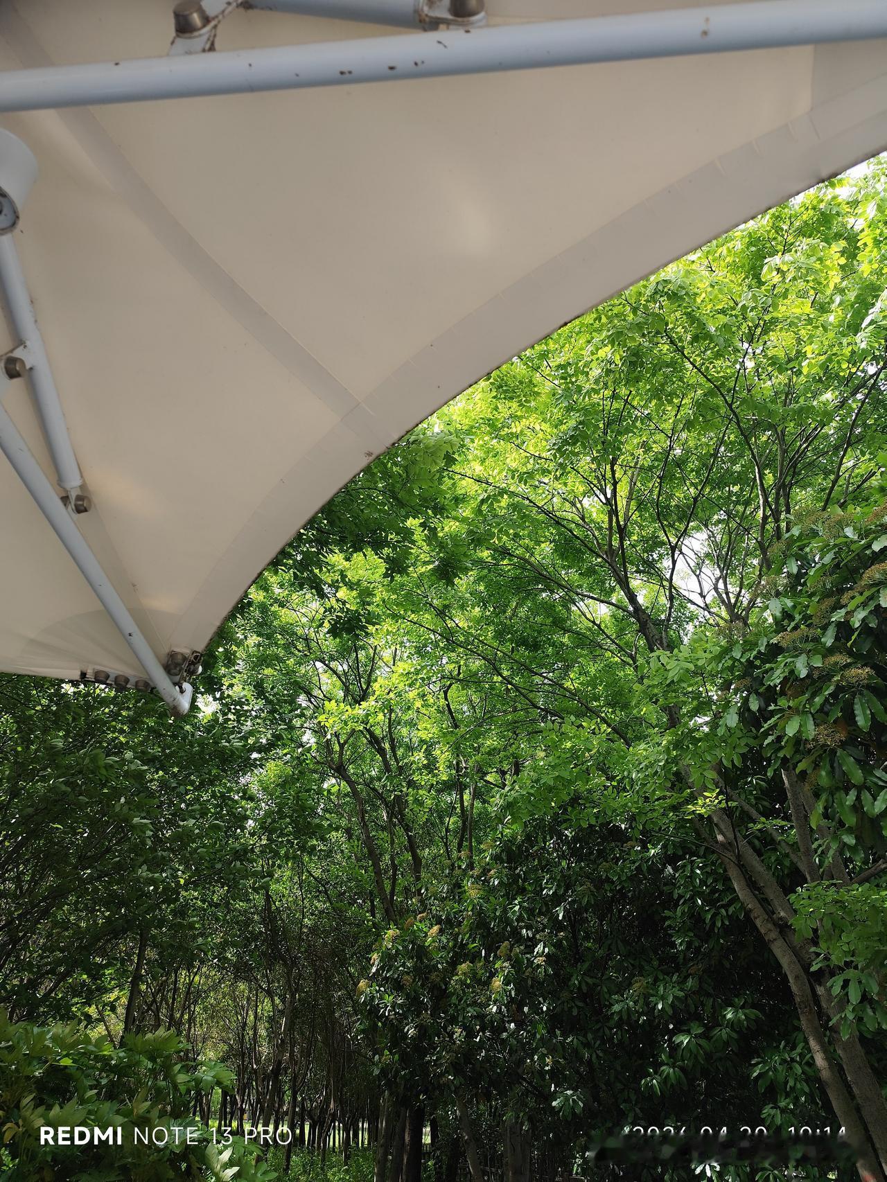 一路走来，终于尘埃落定
 
这段时间，心里压了太多事，跑了太多路，说了太多话，熬