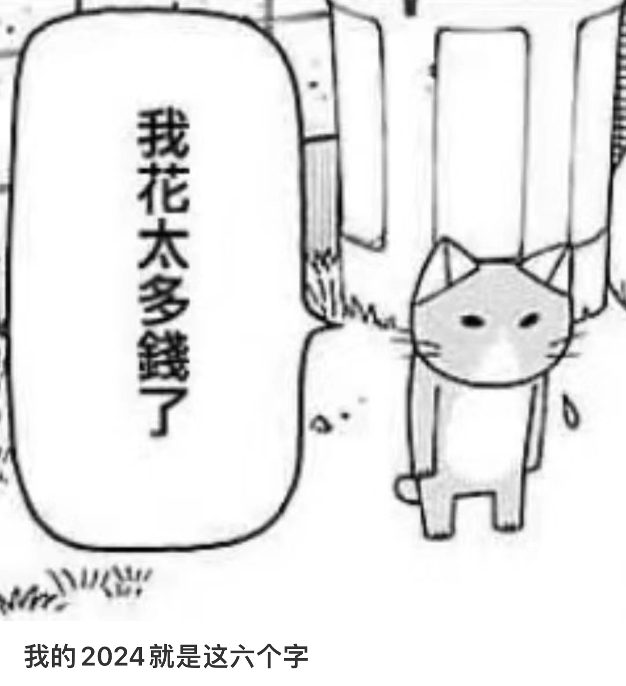 我的2024年总结。 
