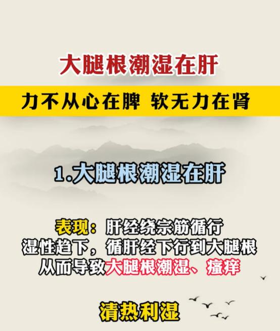 下身潮湿、状态不佳？分清肝、脾、肾再调理