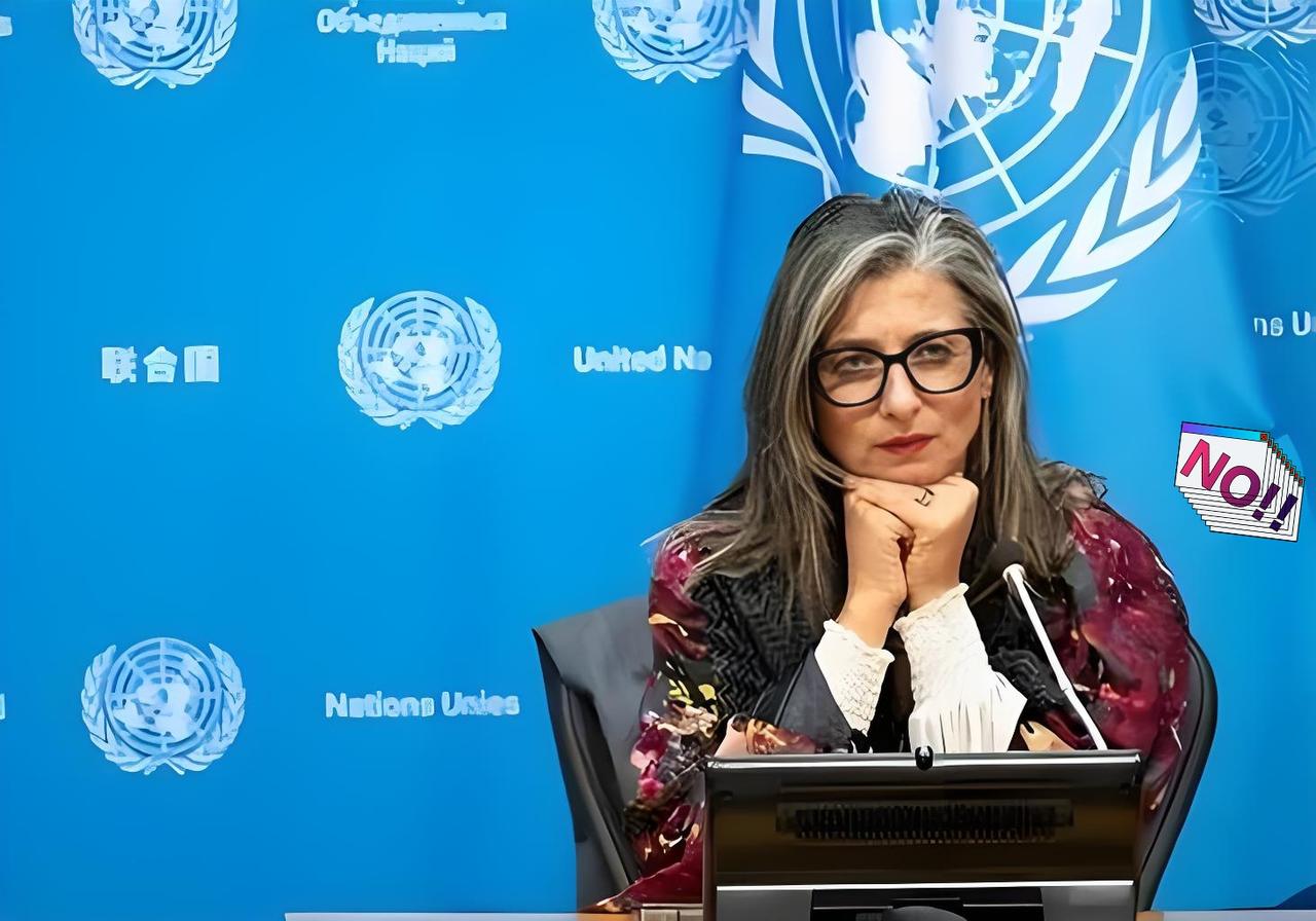 联合国里，终于来了个狠人。
一个叫阿尔巴内塞的女人，当着全世界的面，把一份报告直