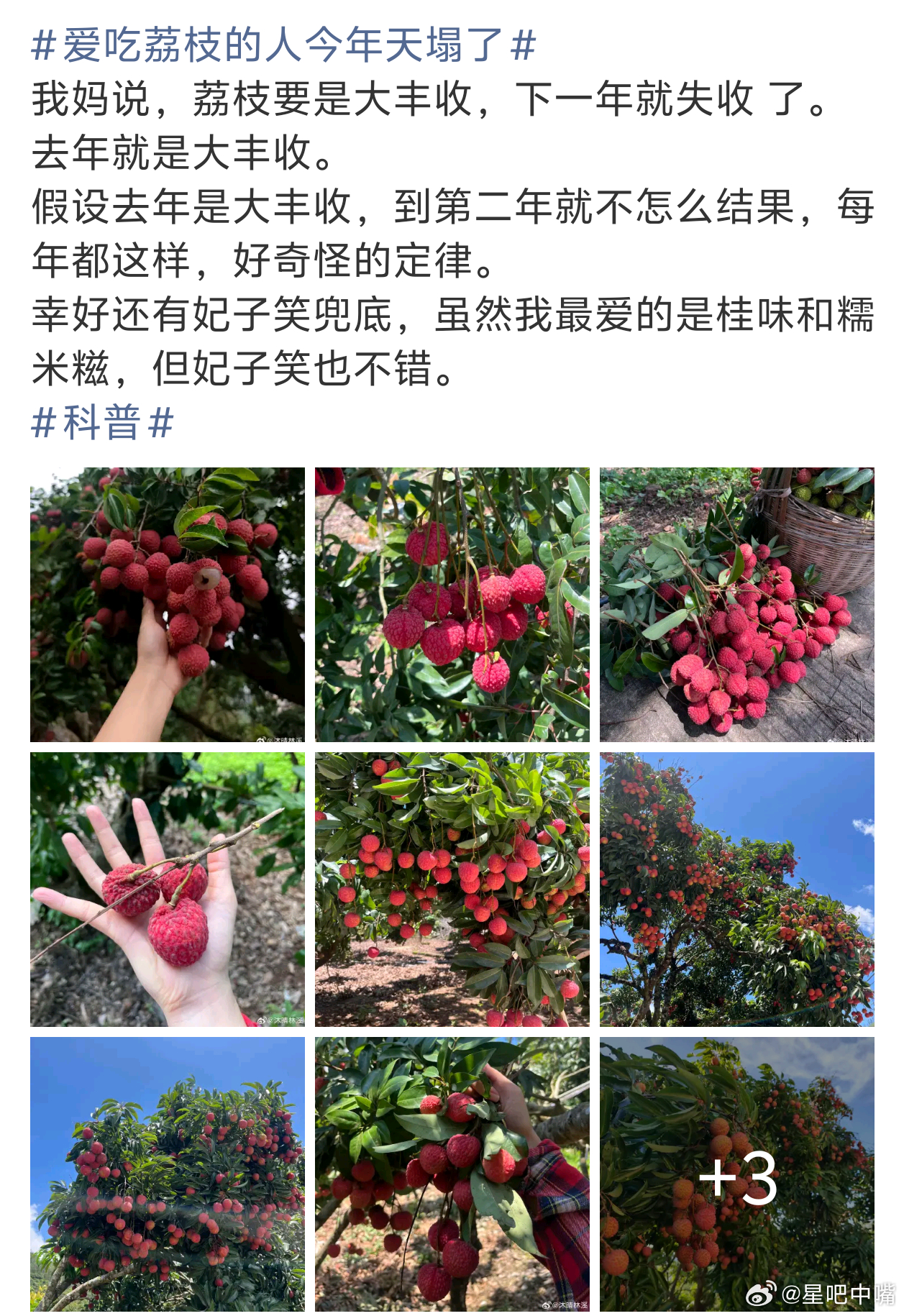 爱吃荔枝的人今年天塌了作为广西人，给你们说一下！双数年是水果小年，今年荔枝 龙眼