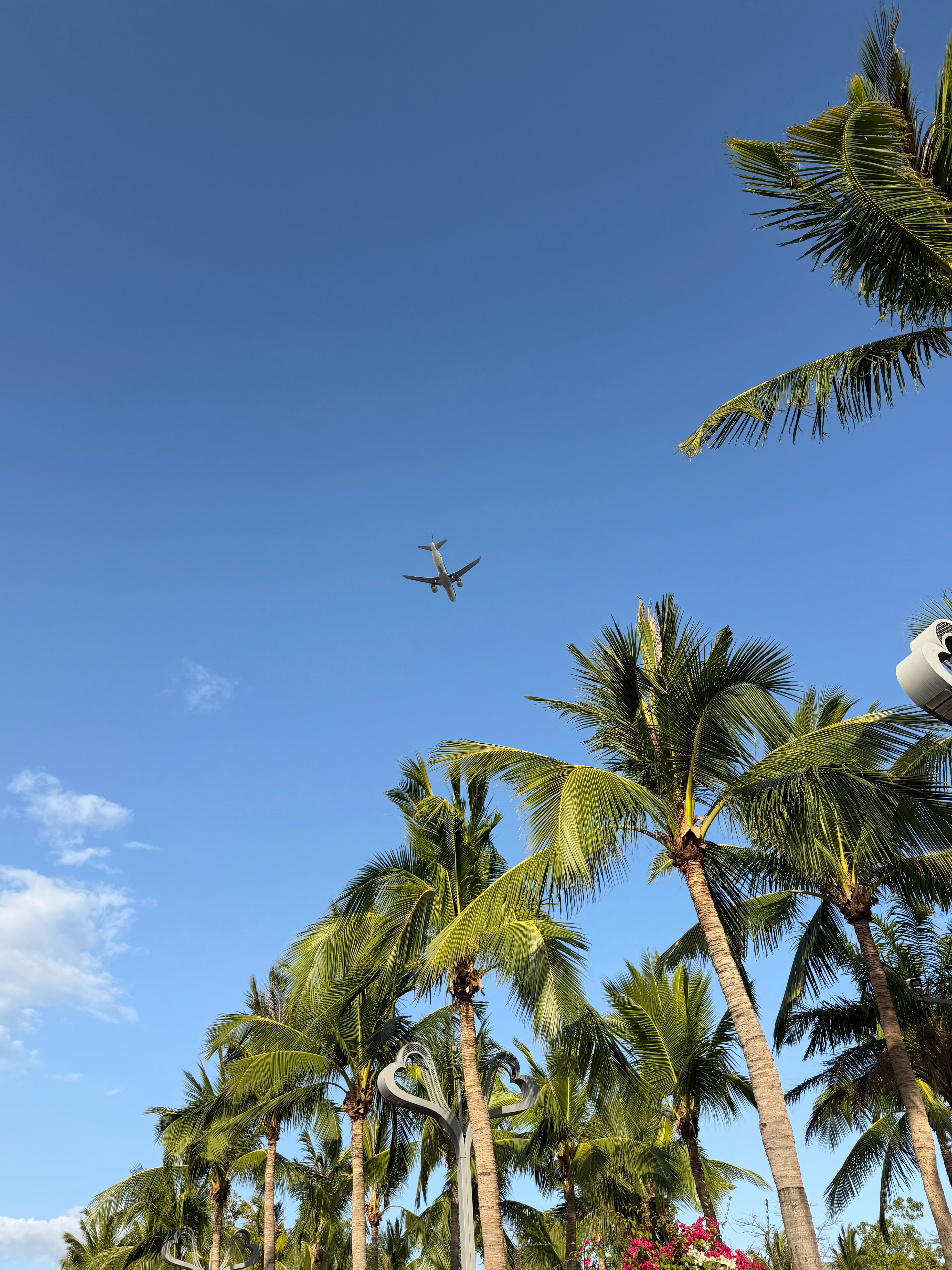 很多事物，你只会在某一个阶段喜欢。一旦错过就永远错过了。肉体的成长和衰落，精神的