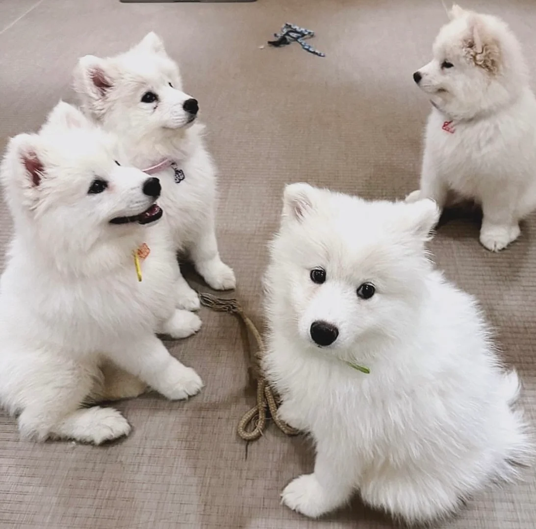 上课好好听课的就两个，一个卖萌，一个有神