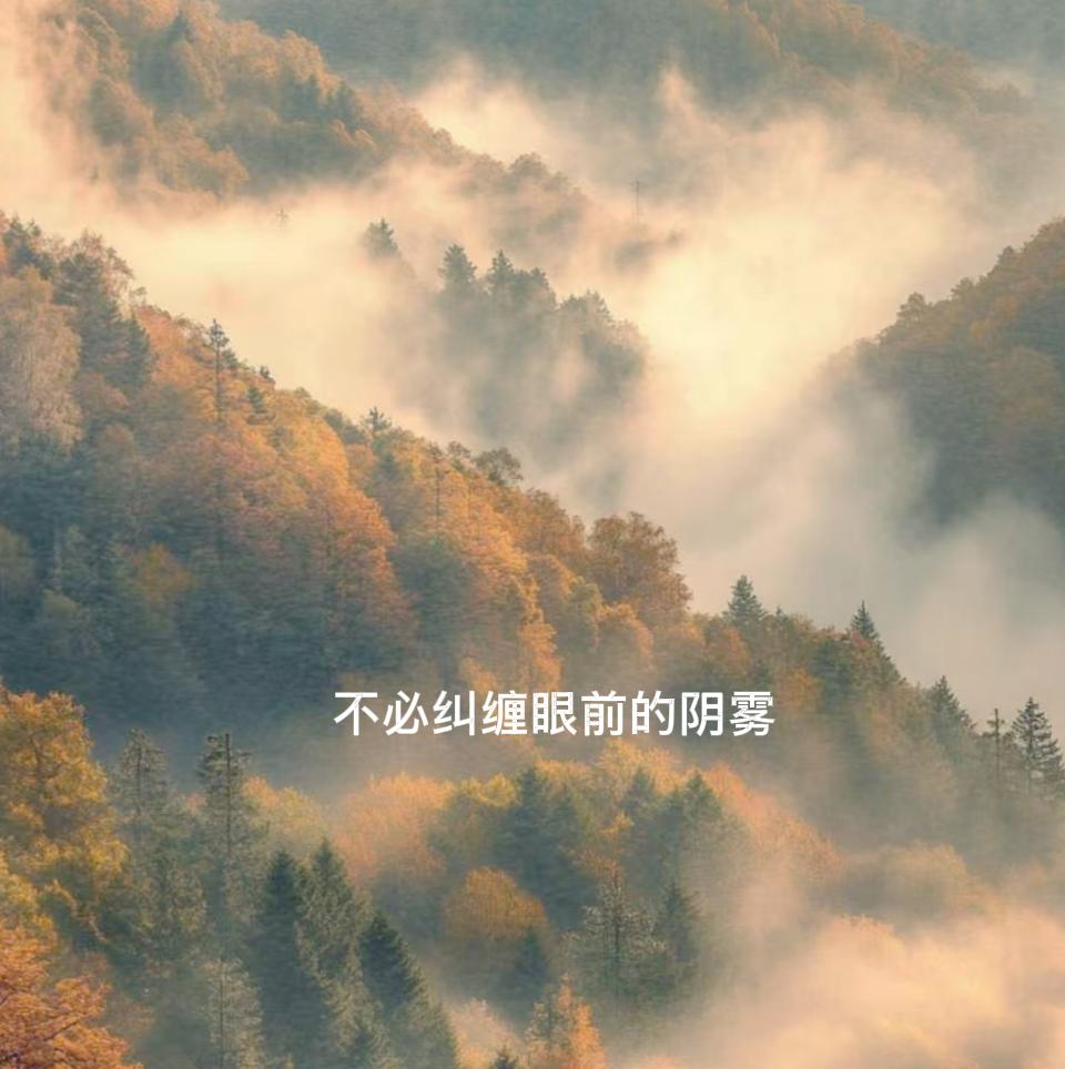 你发现没有，能成事人，从不纠结眼前的晦暗与阴霾，想信穿过浓雾的光，终会洒满整片山