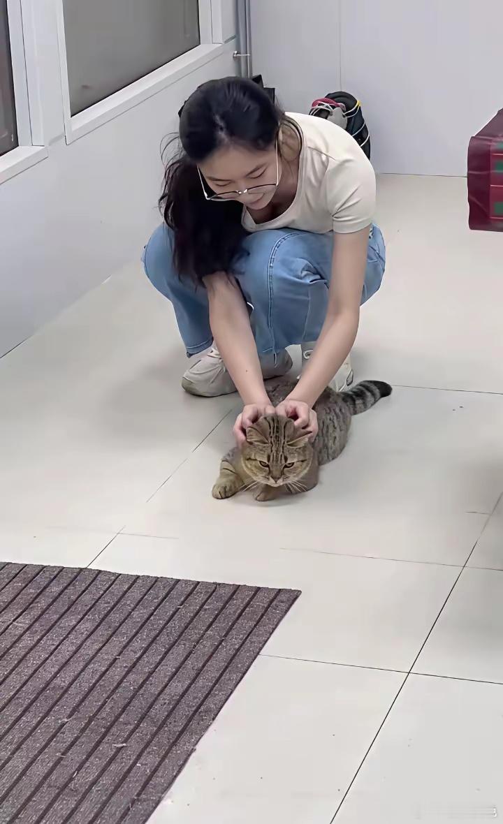 家里养了一只可爱的小猫 ​​​