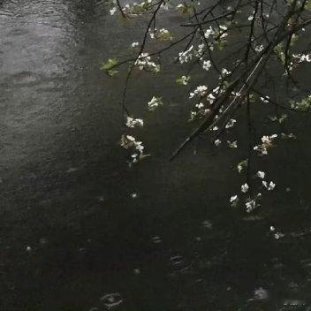 阳光信用  🍀阳光信用🍀 阳光信用 每日一善人生的路经历过，才知道有短有长；