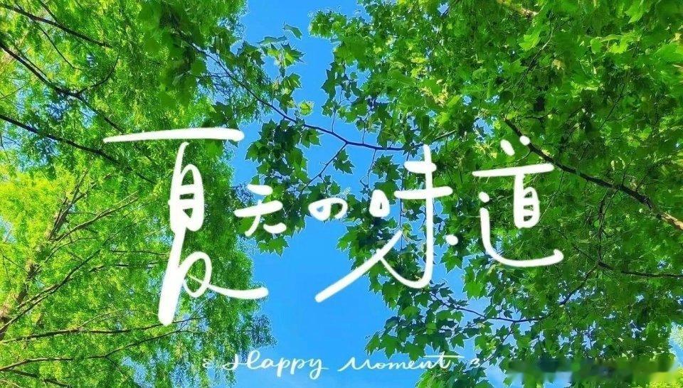 六月，一半炙热，一半清凉，一半回望，一半期许。新的一周开始了，加油 