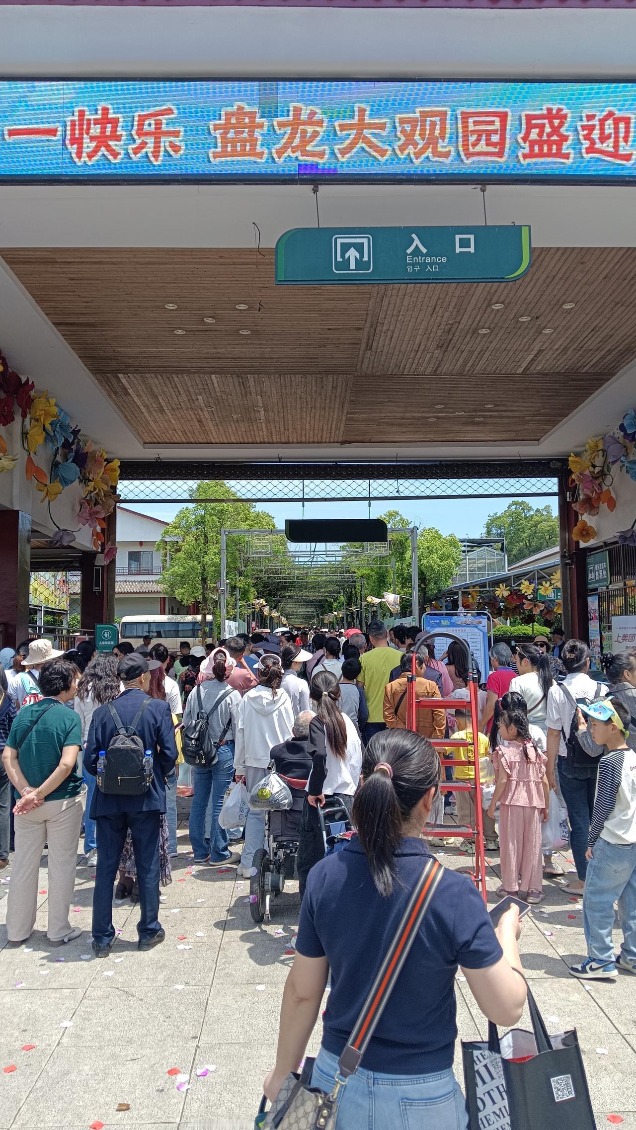 孩子们都组建了各自的家，平日回家来也匆匆去也匆匆，甚至春节都 有不齐的时候。今天