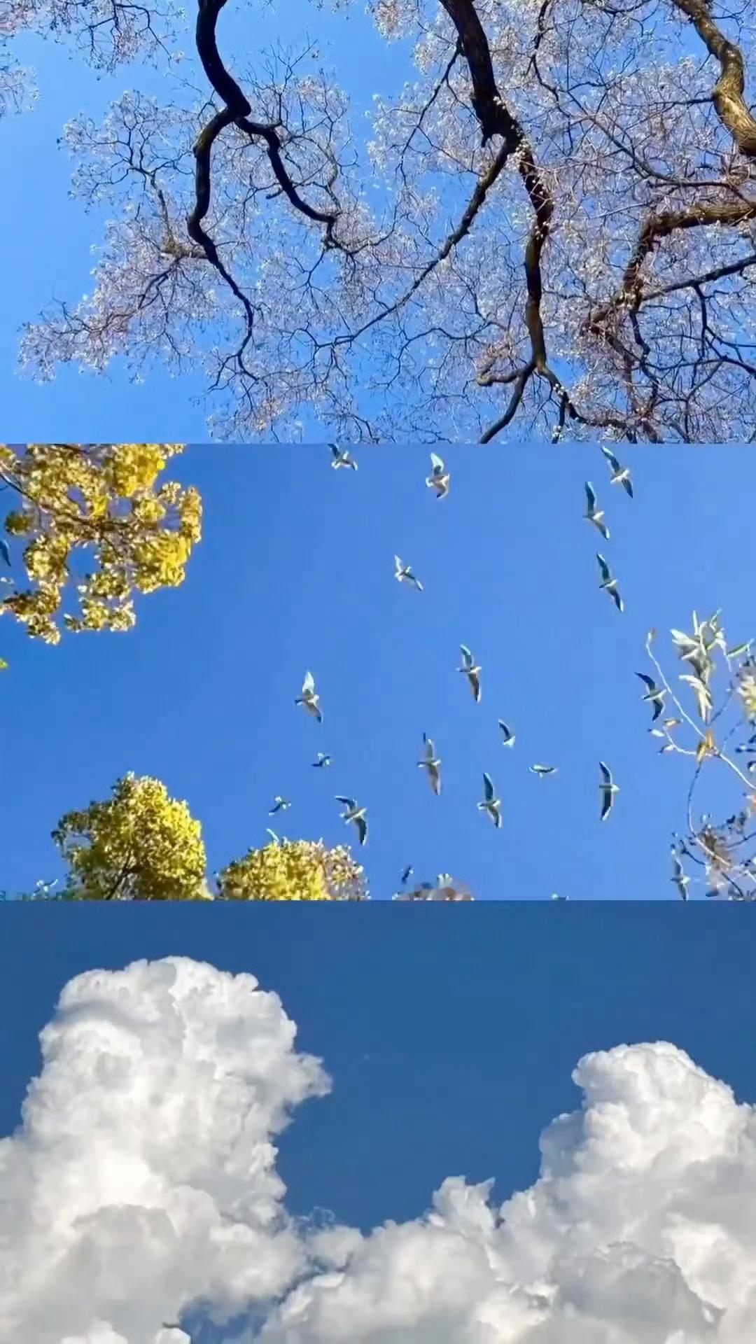 发明实况拼图的简直是天才 没错～