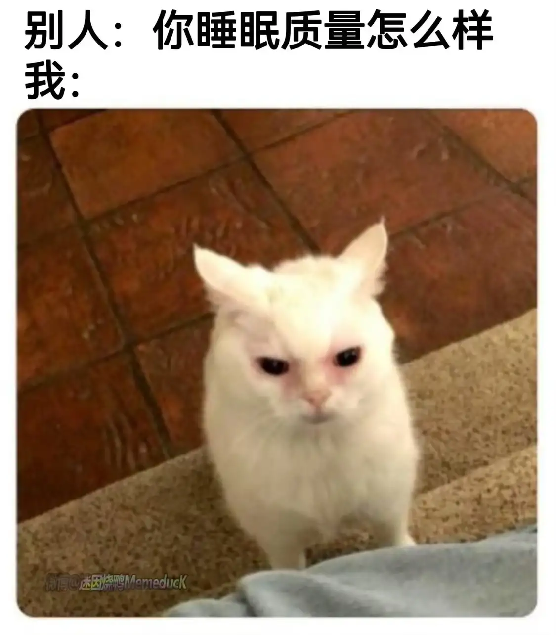 <img src=