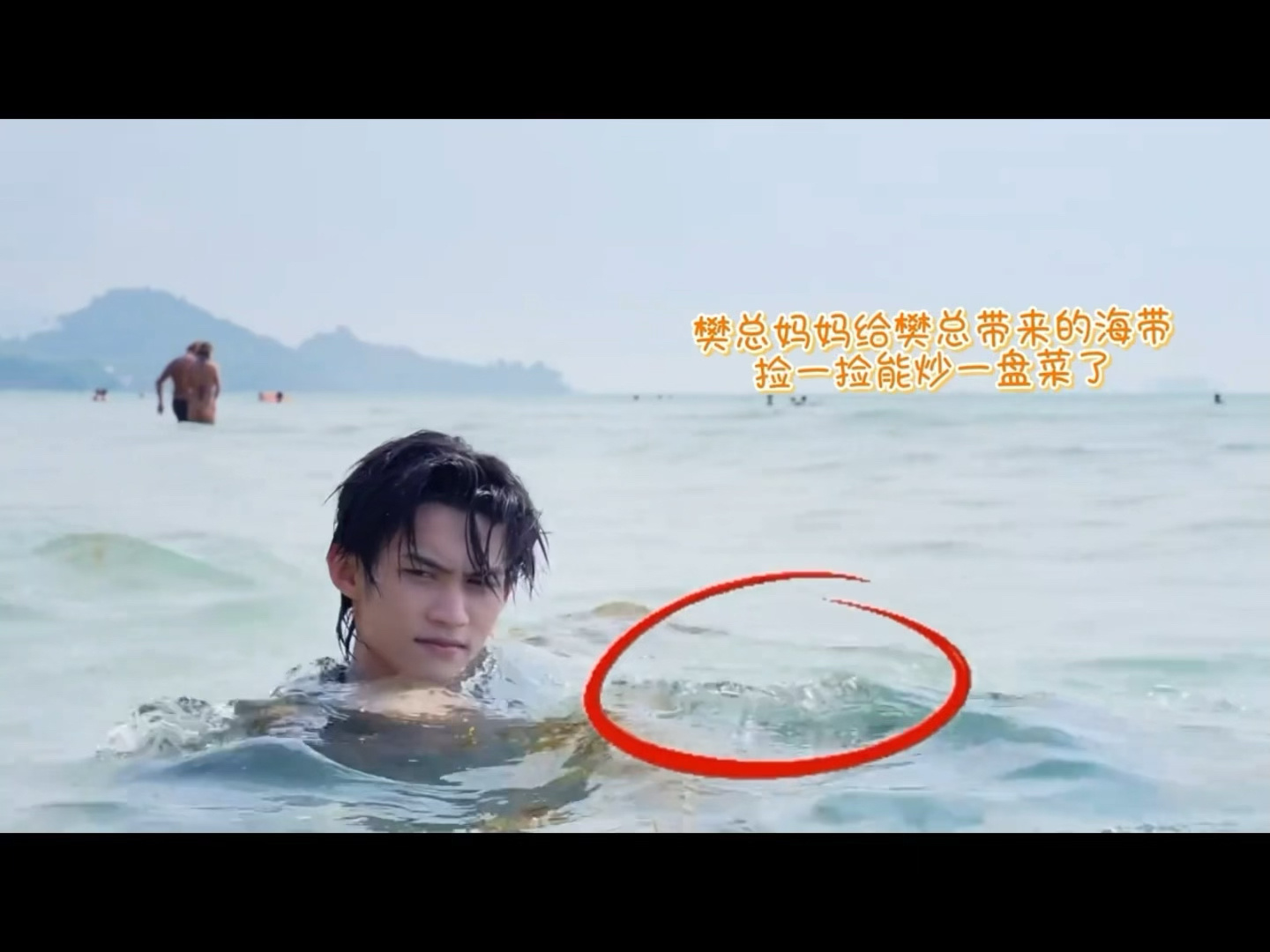 把高嘉辉扔海带汤锅里 