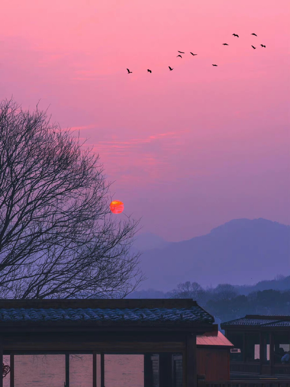 她在等待。是的，天气转为晴好。风暴远去。黎明将是美丽的。玫瑰色的。｜玛格丽特·杜