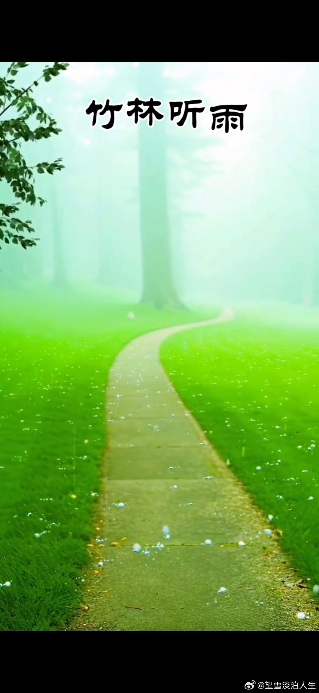 #情爱日记[超话]#                    《词庸》青草萋萋绿满