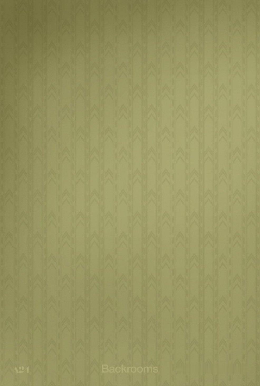 A24出品科幻恐怖电影《后室》首张海报。北美5月29日上映。该片改编自帕森斯在Y