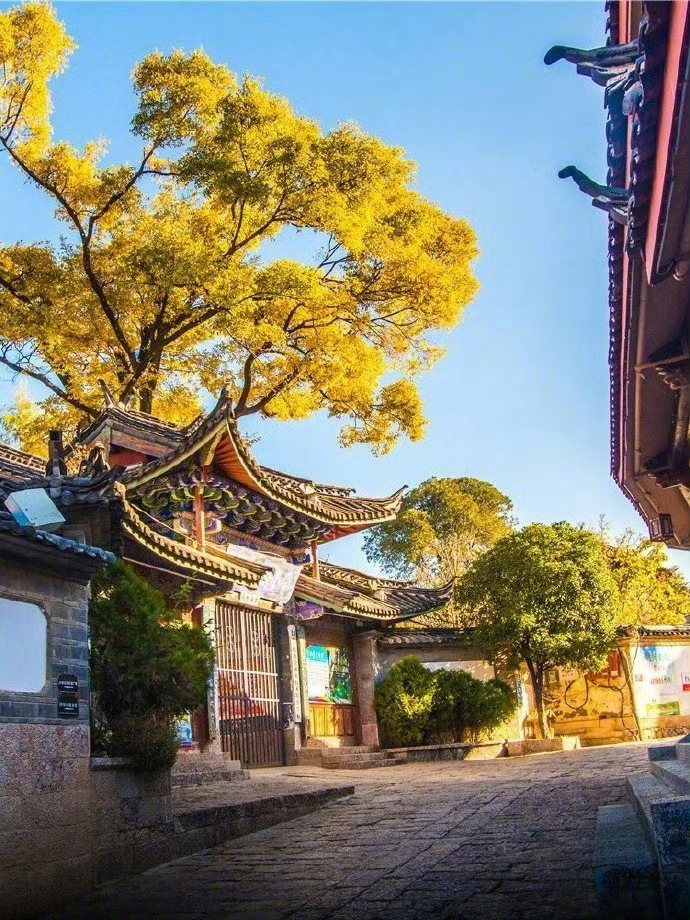 想和你去丽江古城转一转！    旅游  旅游[超话]  
