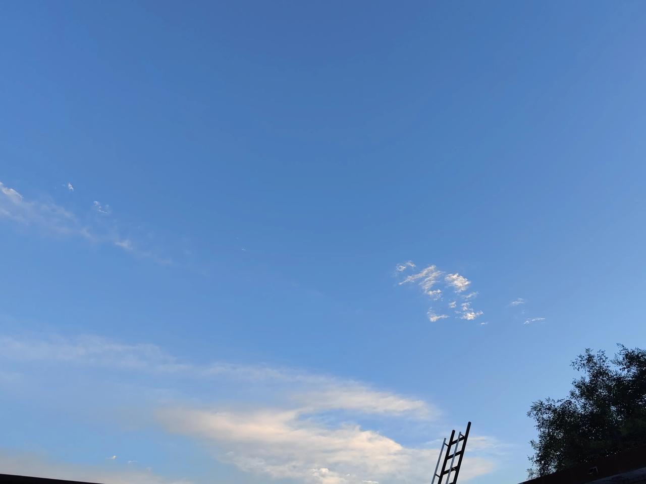 今天的天气预报太准了，说有雷阵雨还真下了。
早晨4点多我就听到轰隆隆的打雷声，紧