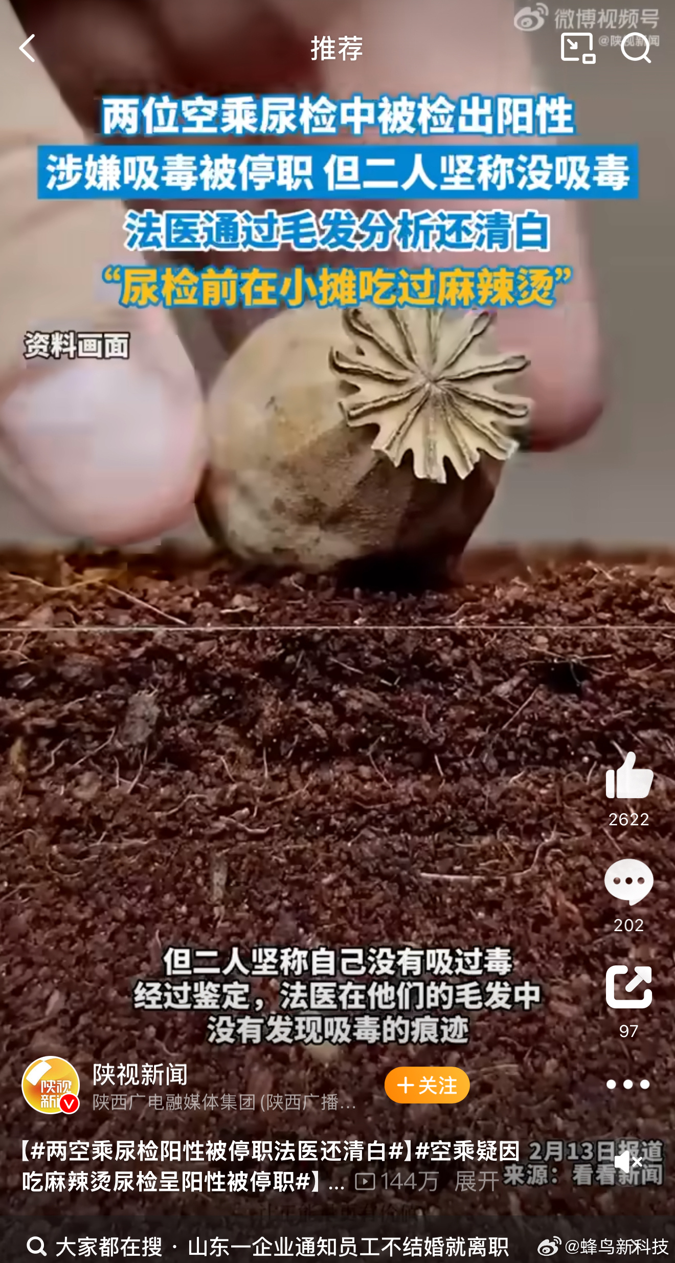 两空乘尿检阳性被停职法医还清白  是之前吃的麻辣烫里含有罂粟壳？这反手就得来个举