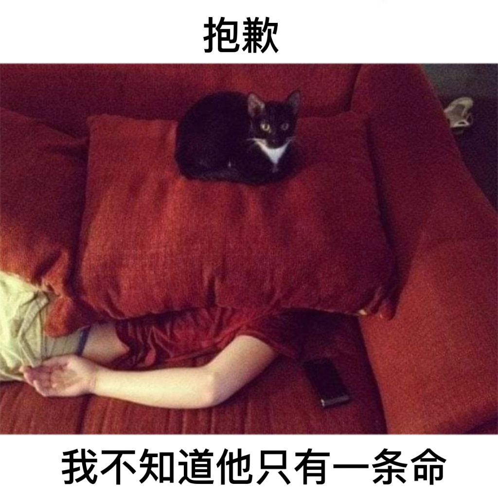 不怪他#今日memes# //#新年快乐漫游指南# //#转发接龙开新年# ​​
