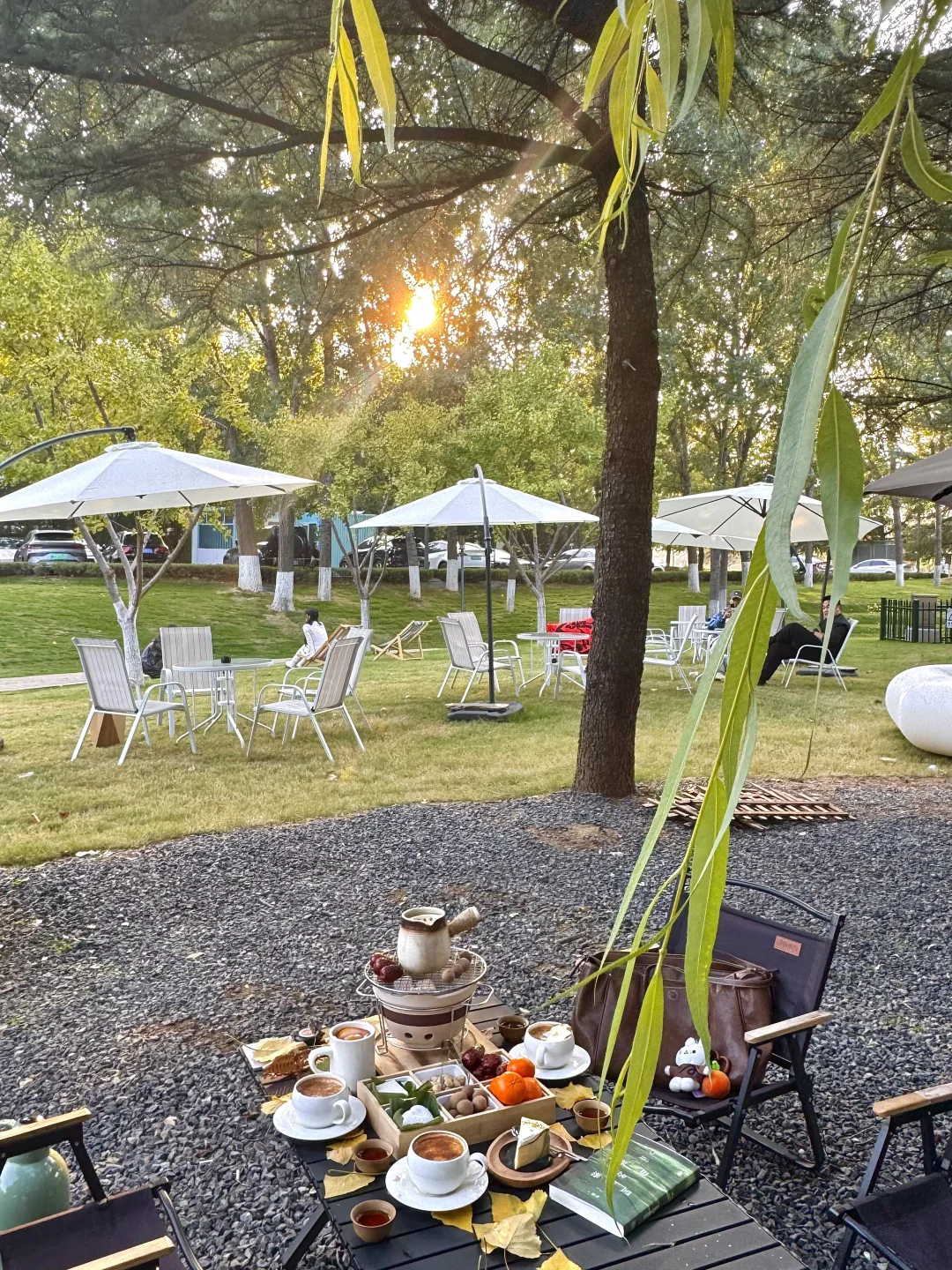 济南新开的！！千平米森系咖啡店🍂🌰围炉煮茶