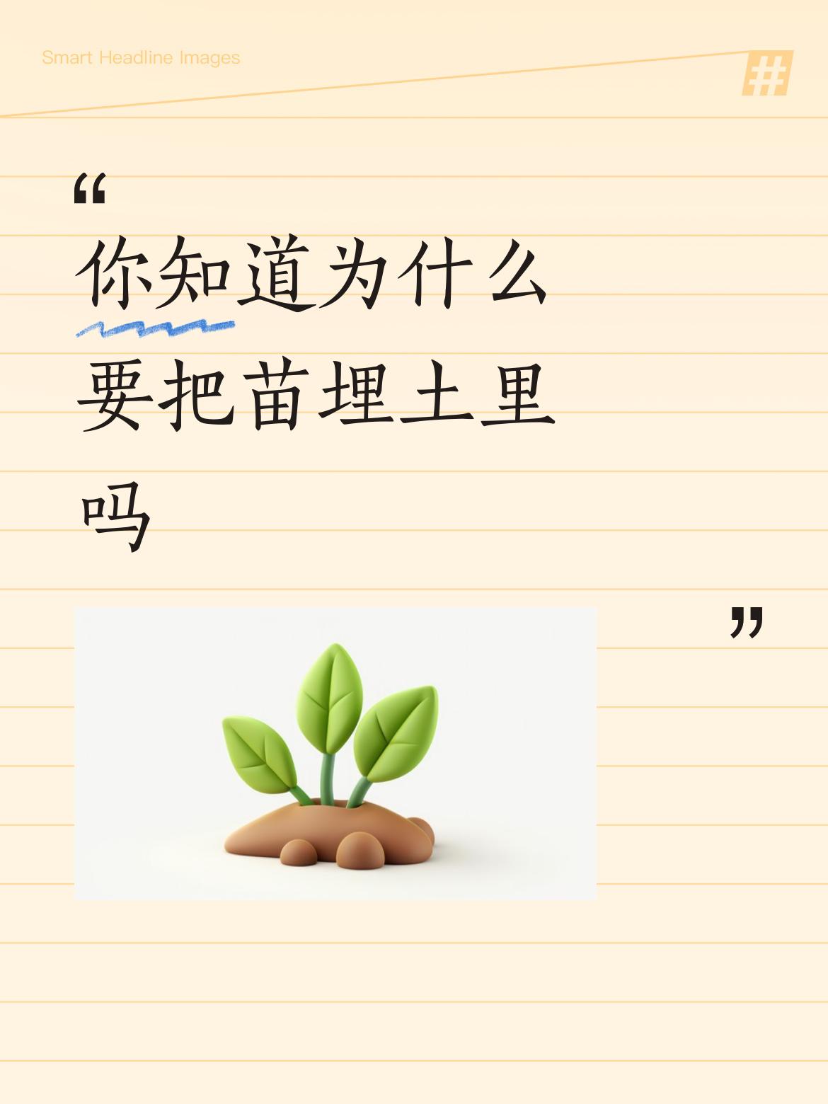 你知道为什么要把苗埋土里吗