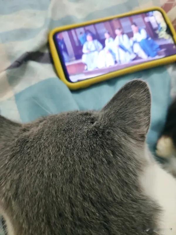 我还真有因为一个片段追了一整部剧的经历。之前刷到一个片段，300斤肥婆为向渣男老