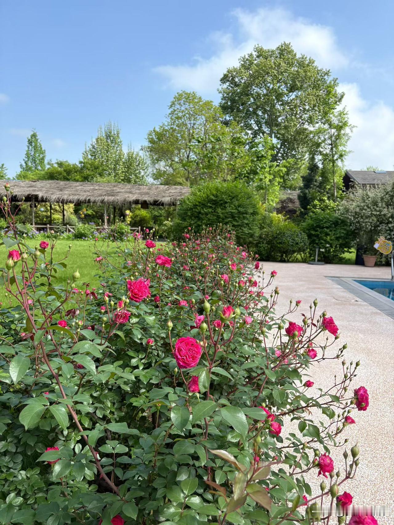 社会地位重要吗？重要，就像资源、人脉、关系、灵活等等一样重要；技术重要吗？哪怕就