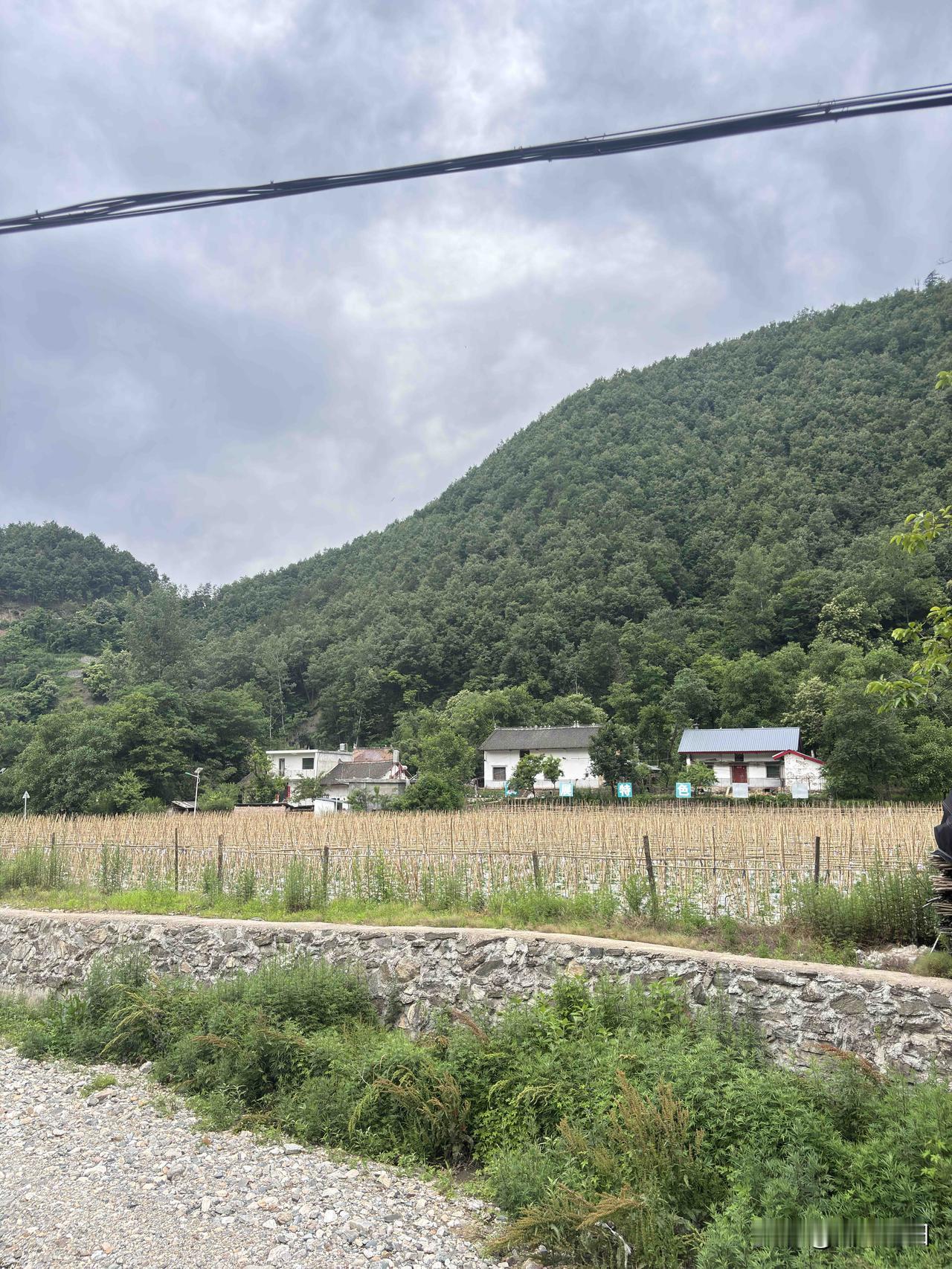 商洛牧护关随拍，这个泉源村旁的河道，这水是从那流过来的，韩峪川吗？这河叫什么名字