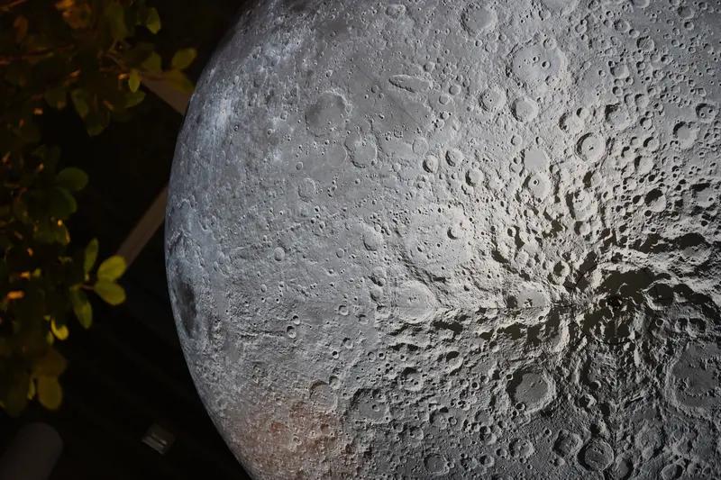 因为要上去找嫦娥找玉兔。在家看广寒宫是个啥样子。听说那个国家第一个登上月球建立城