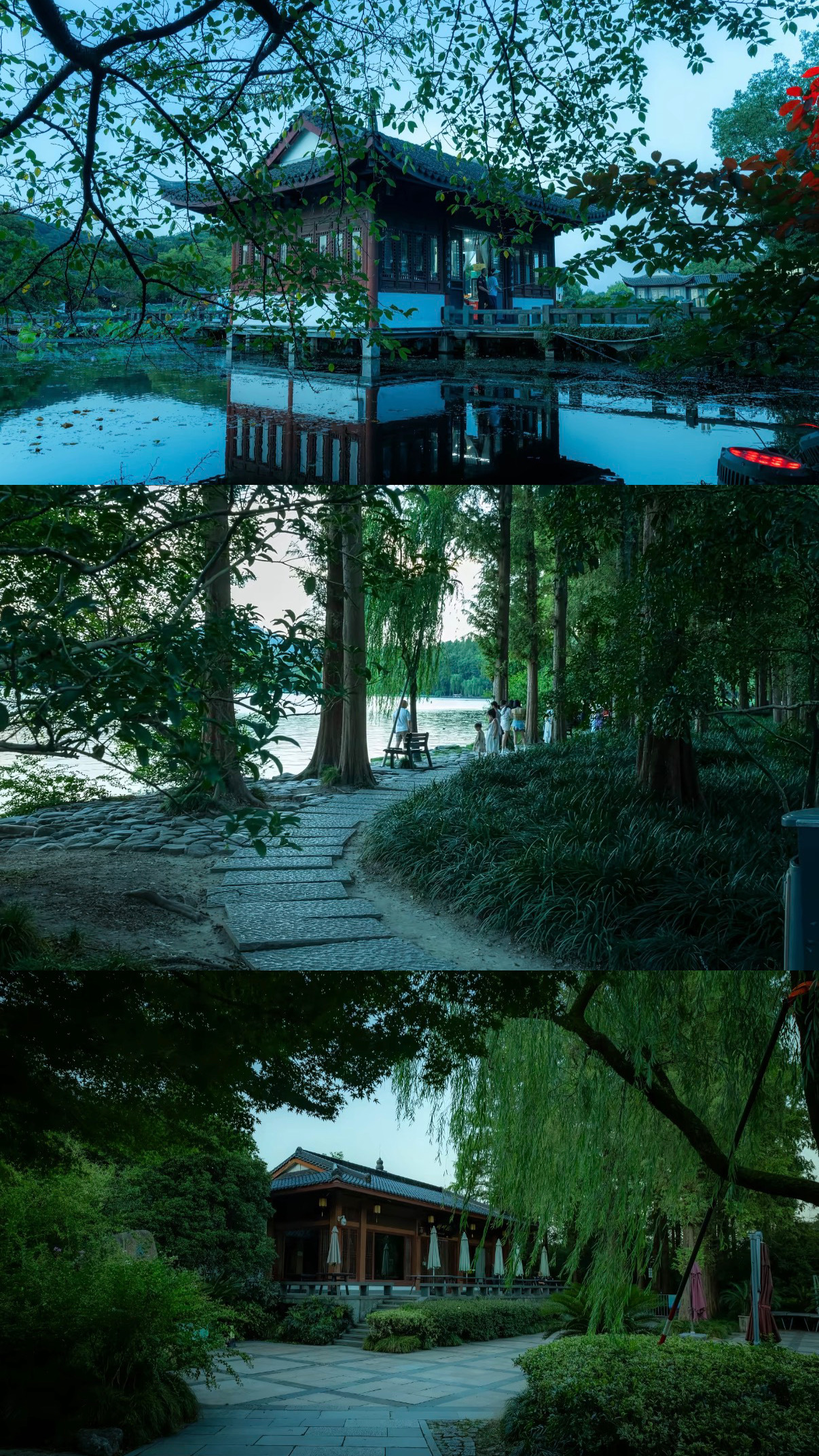 全国人民羡慕杭州人 别人卷KPI，杭州卷快乐！能放肆呐喊解压，能随时被鲜花和美食