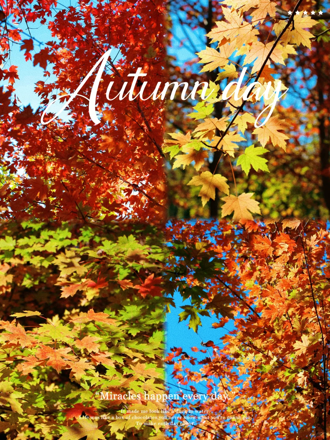 10.19实况🍁接下来的两周这里枫叶似火❗