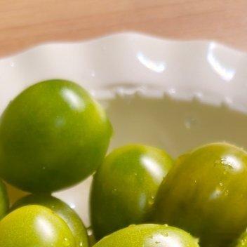 0000小麦的种植方法如下：一、选种与播种：选择颗粒饱满、抗病性强的小麦品种。播