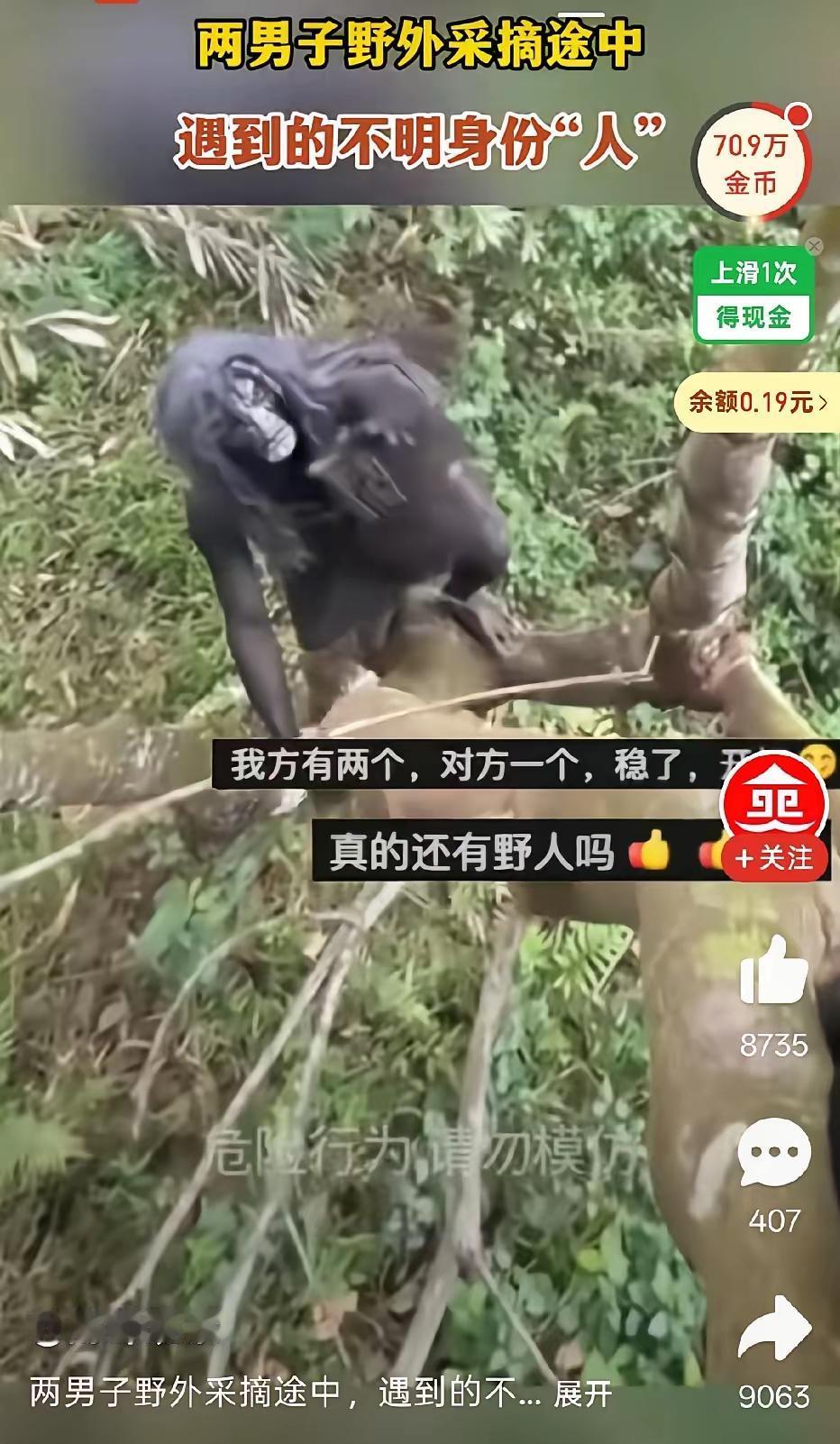 野外偶遇“野人”？大概率又是流量剧本
 
刷到这段网传视频，国外两名男子野外采摘