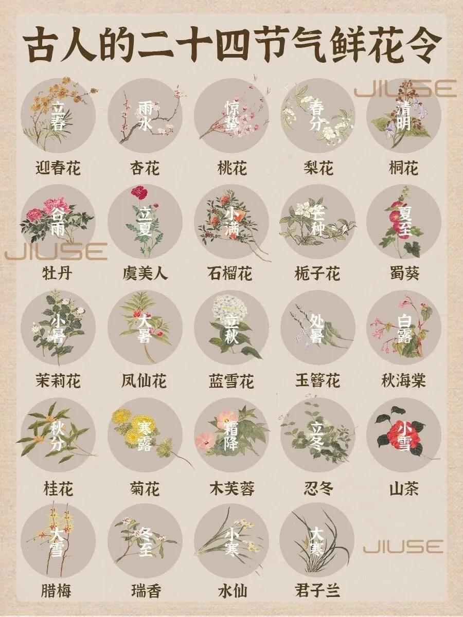 #古人的二十四节气鲜花令#