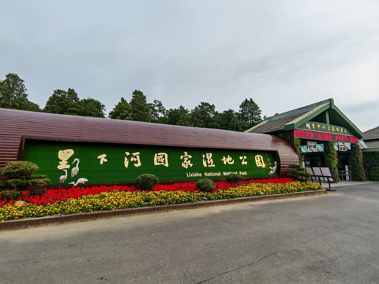 兴化｜李中水上森林公园
林海藏碧水，清风伴鹭鸣。藏在苏中的水上森林，静谧清幽，能