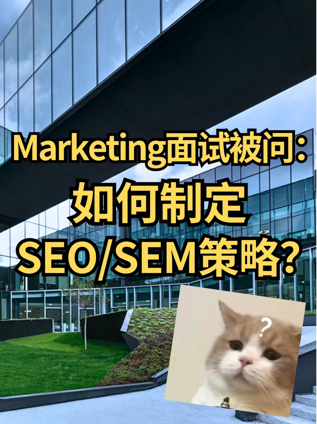 市场 运营🉑️ SEO/SEM策略，面试这样回答...