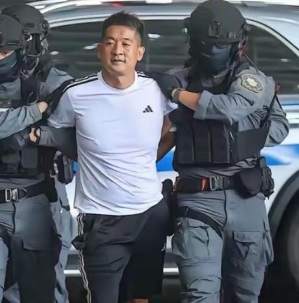 从泰国引渡佘智江着实不易，此人在泰国根基很深。中方苦等三年多，泰国接连换了 3 