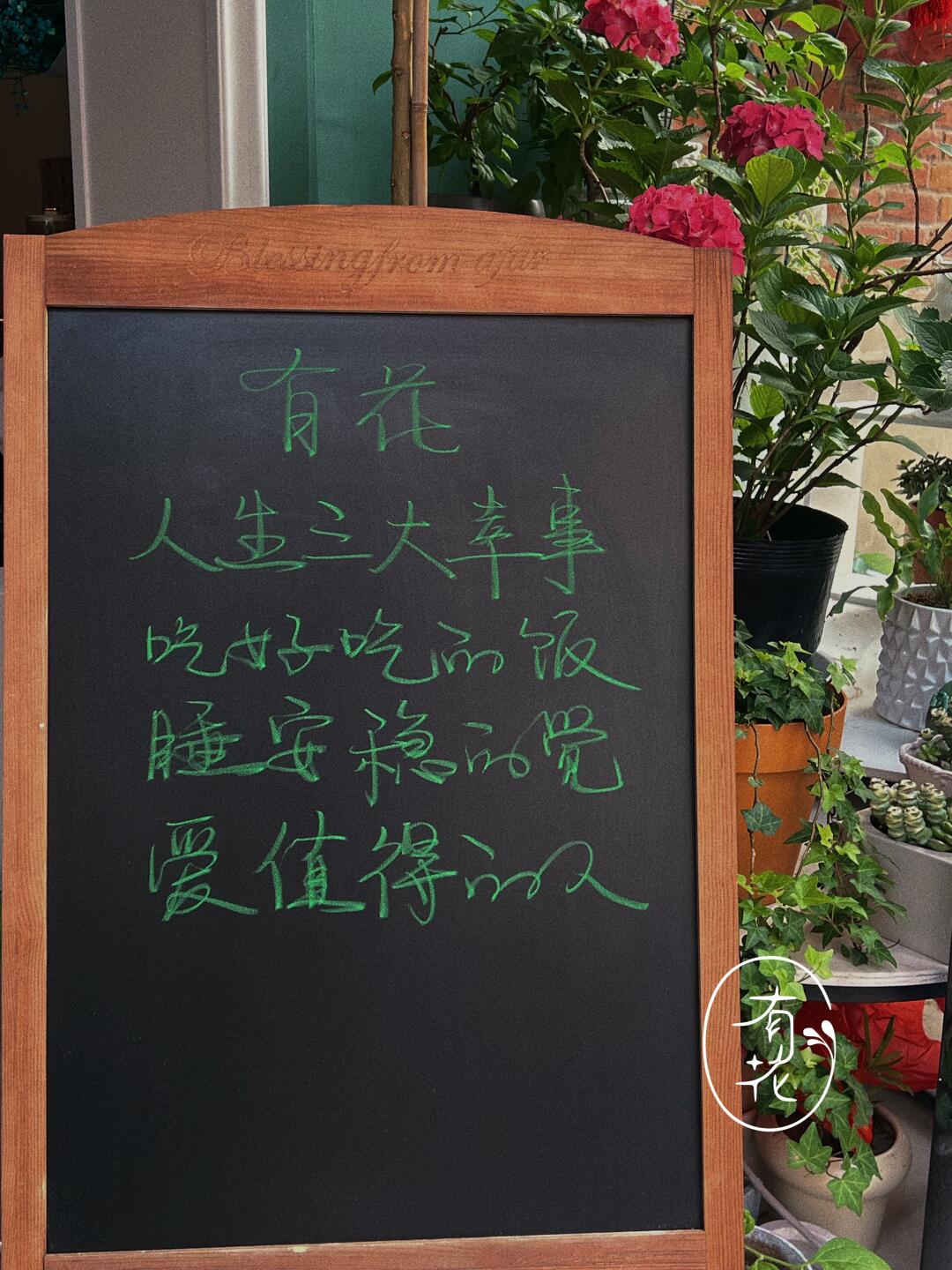 手写小黑板文案🌿03