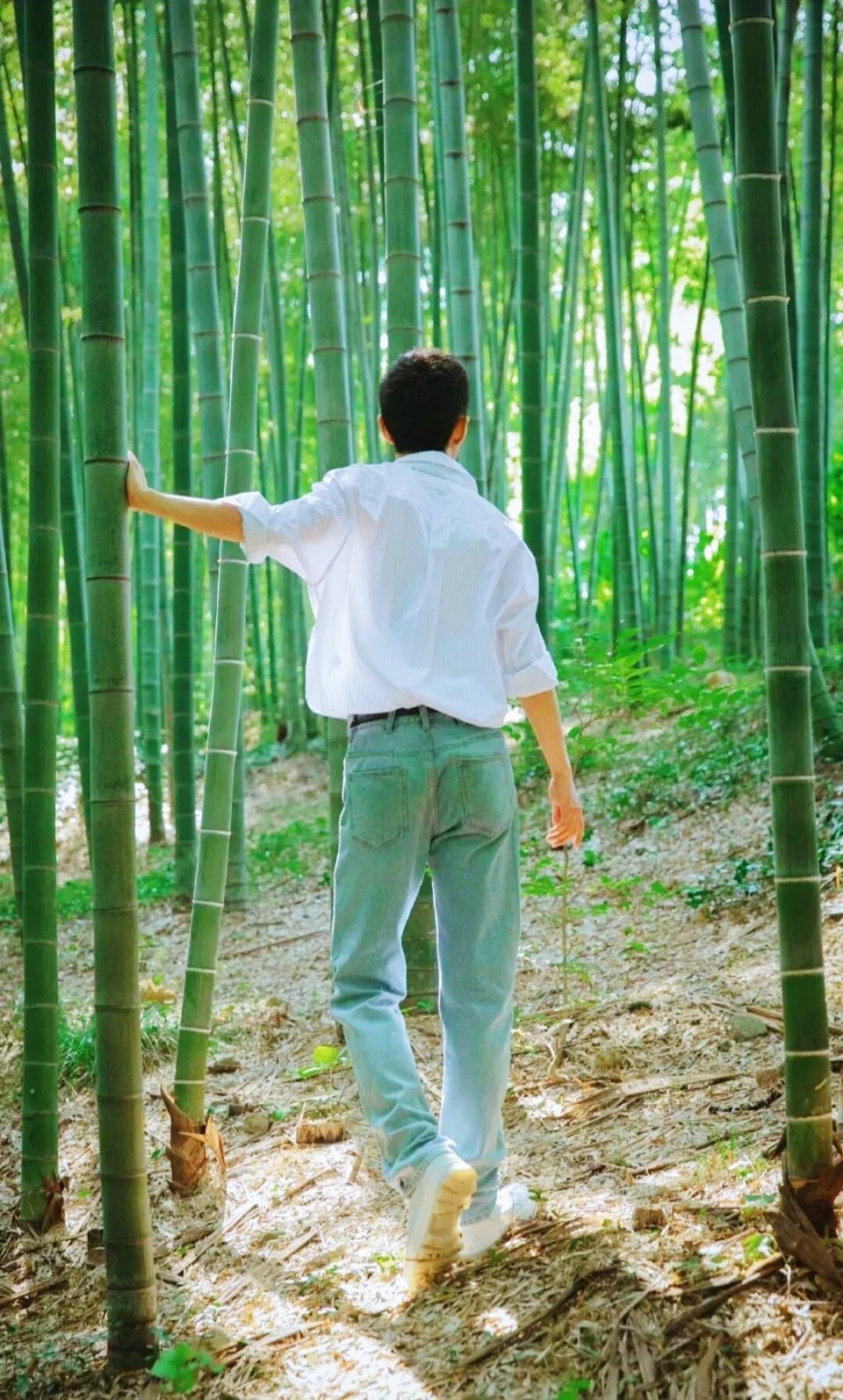 肖战肖战盛阳肖战梦中的那片海 “希望你在热爱的世界里闪闪发光 𝓢𝓽𝓪𝓷?