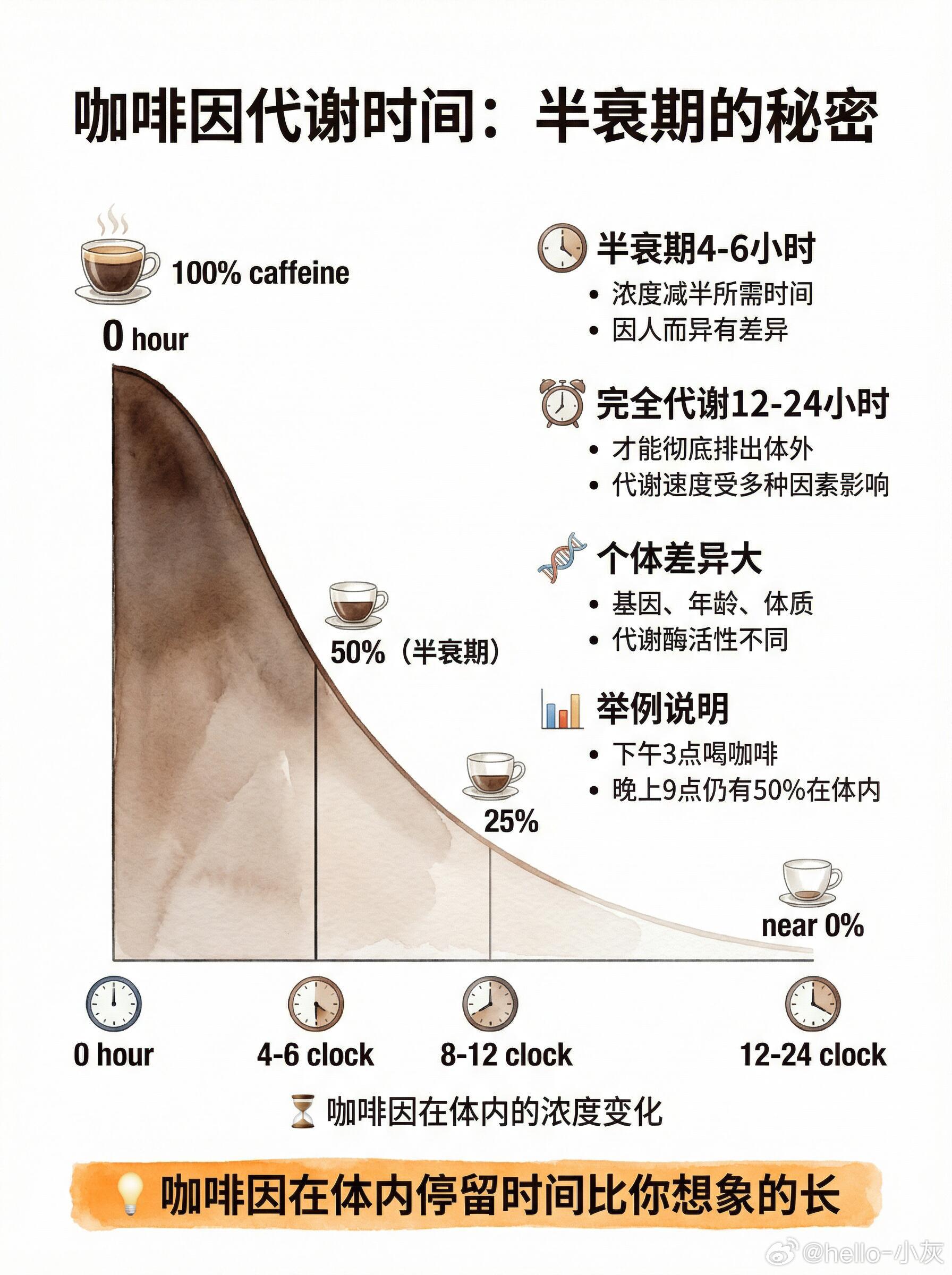 为什么早上是喝咖啡的最佳时间打工人收藏！咖啡的“正确打开方式” ​​​