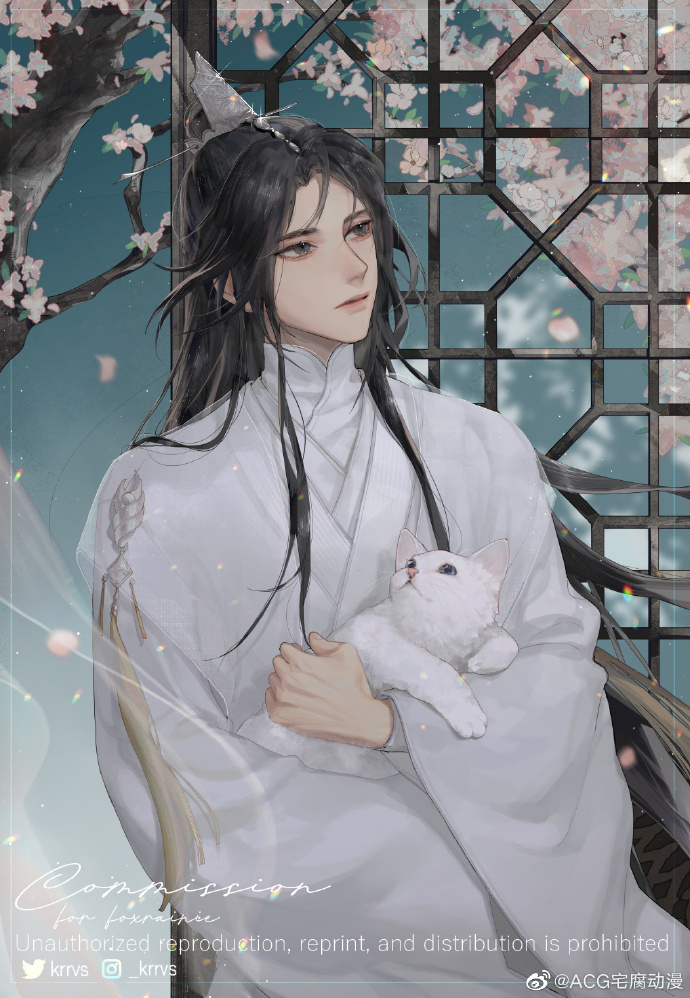 二哈与他的白猫师尊  楚晚宁  一见晚宁误终身，楚晚宁太美了[哇][哇]x:kr