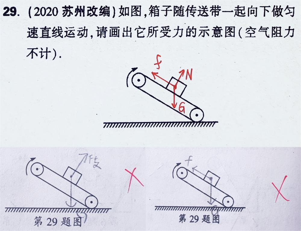 受力分析！初学者常见错误！
更多易错常错题归纳，尽在图片下方专栏《家长课堂：物理