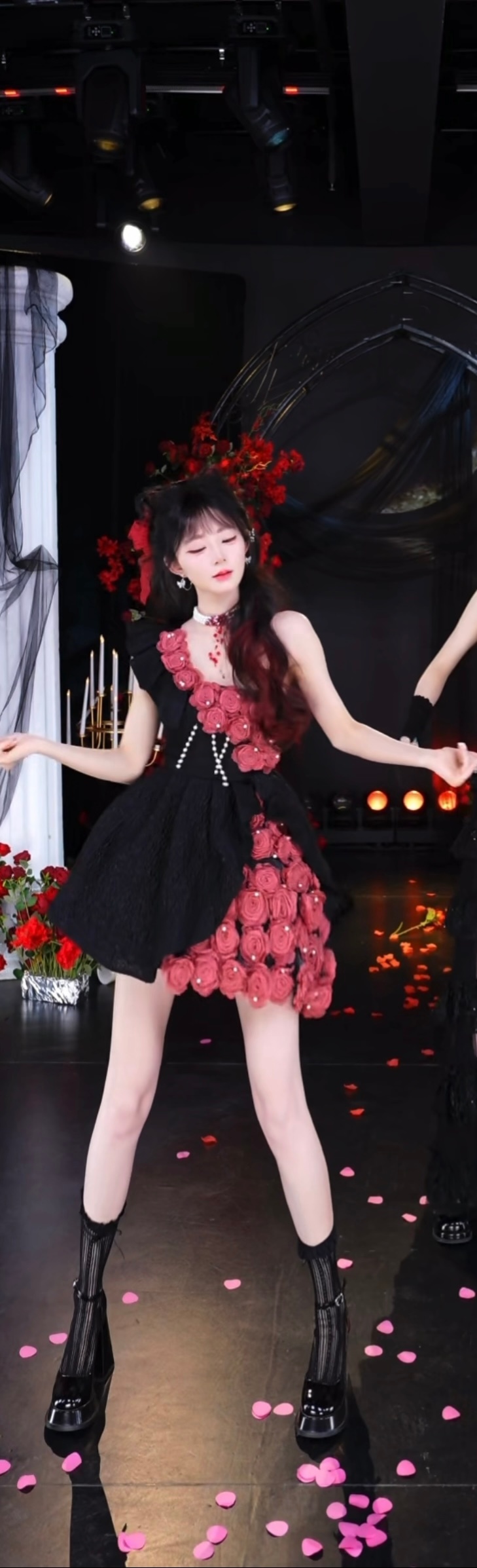 长手长腿的一条猫 