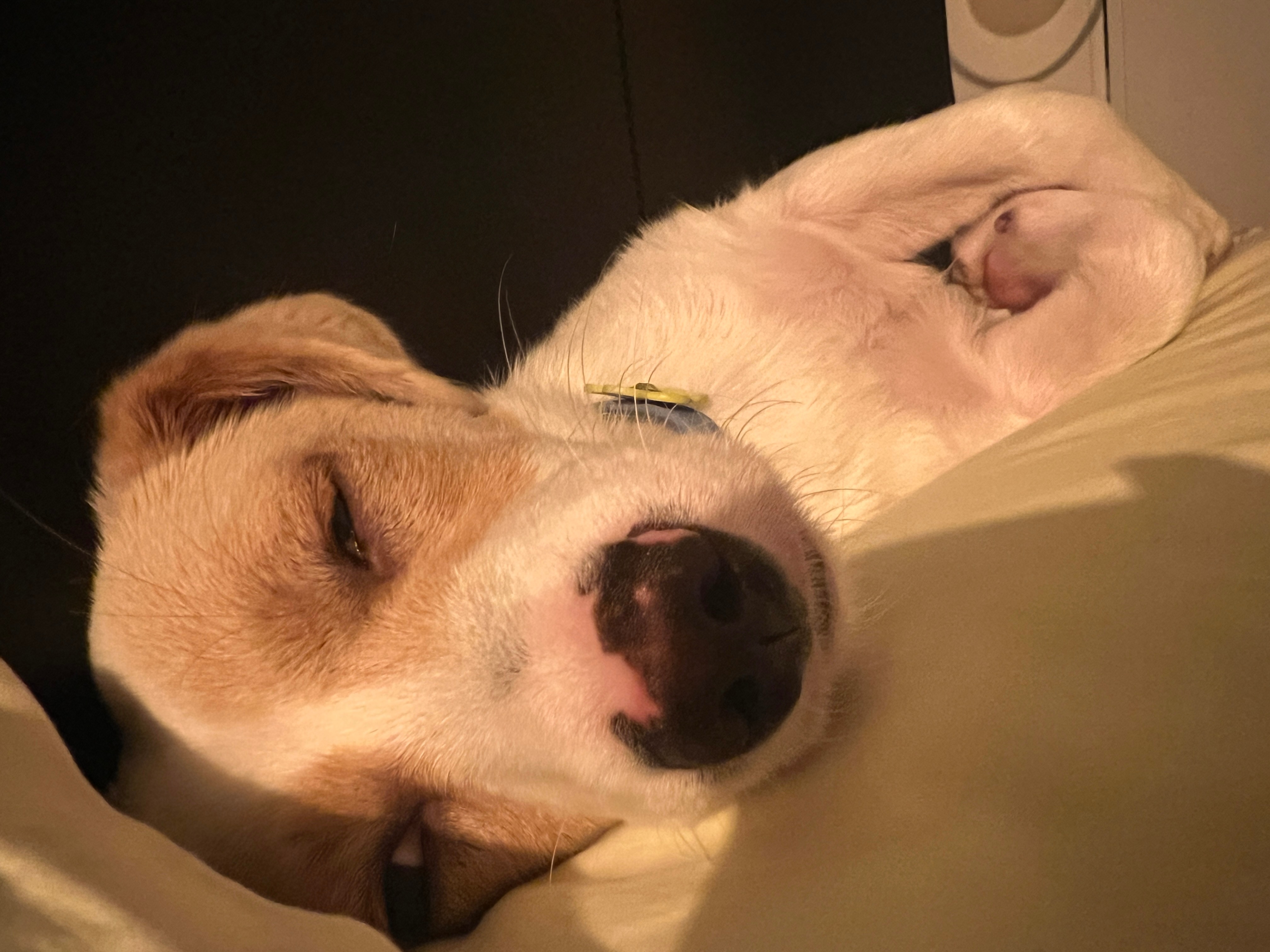 咳死我了一转头又好笑又暖心 ​​​