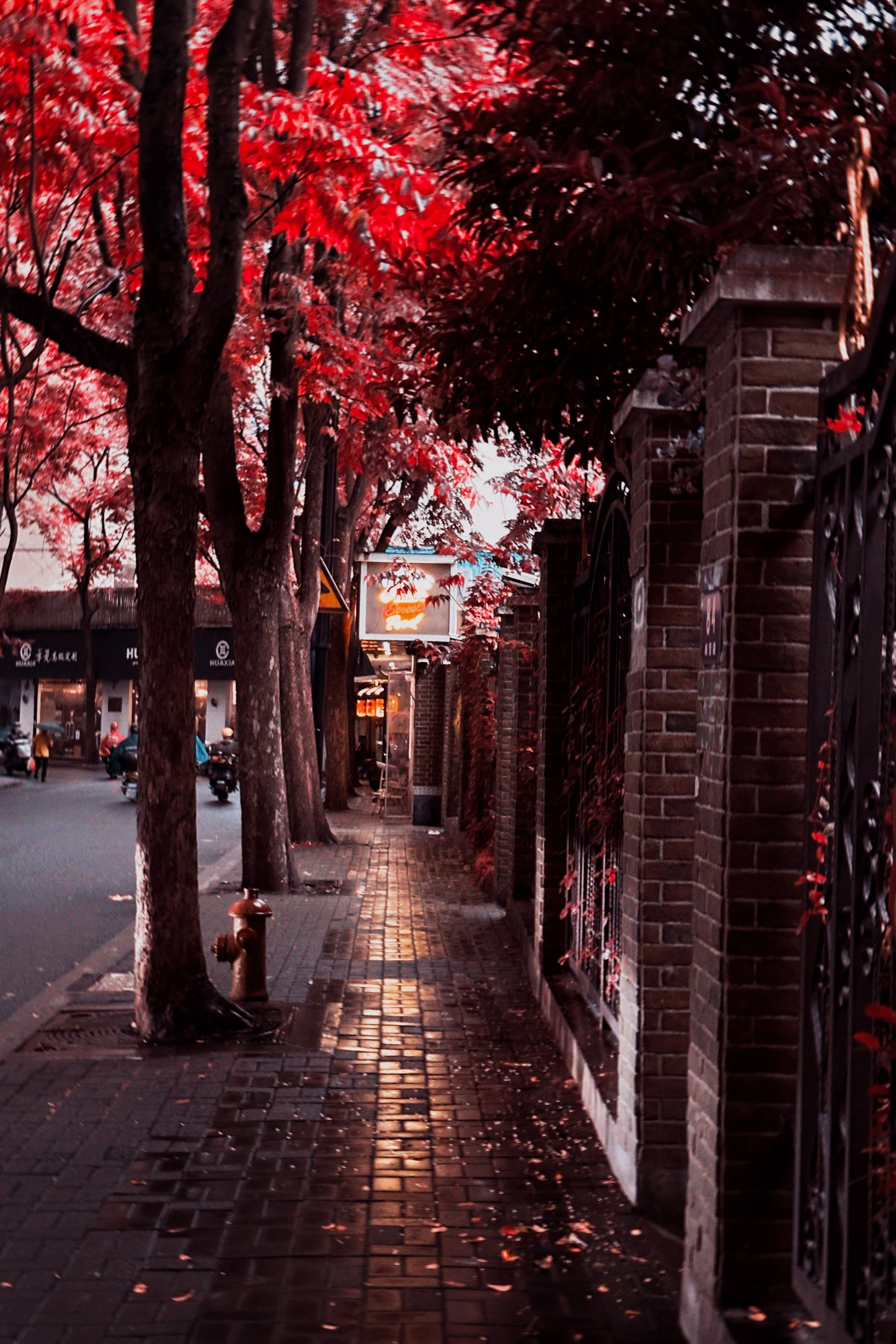 十八图是微博的极限不是我的极限[允悲] 