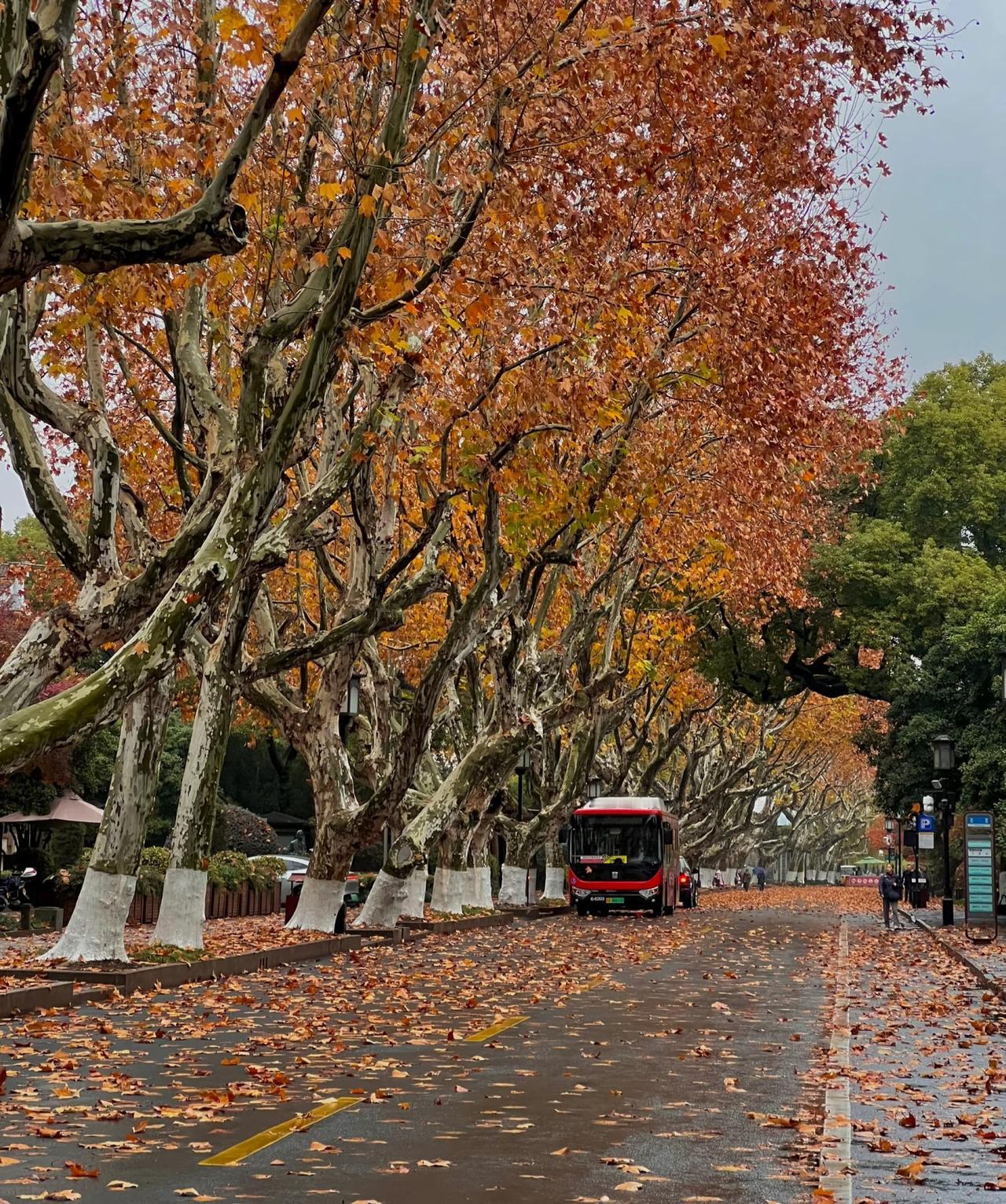 今天的杭州好冷>_<啊！
不知道大家发现了没
杭州的冬天但凡遇上大降温
必然是刮