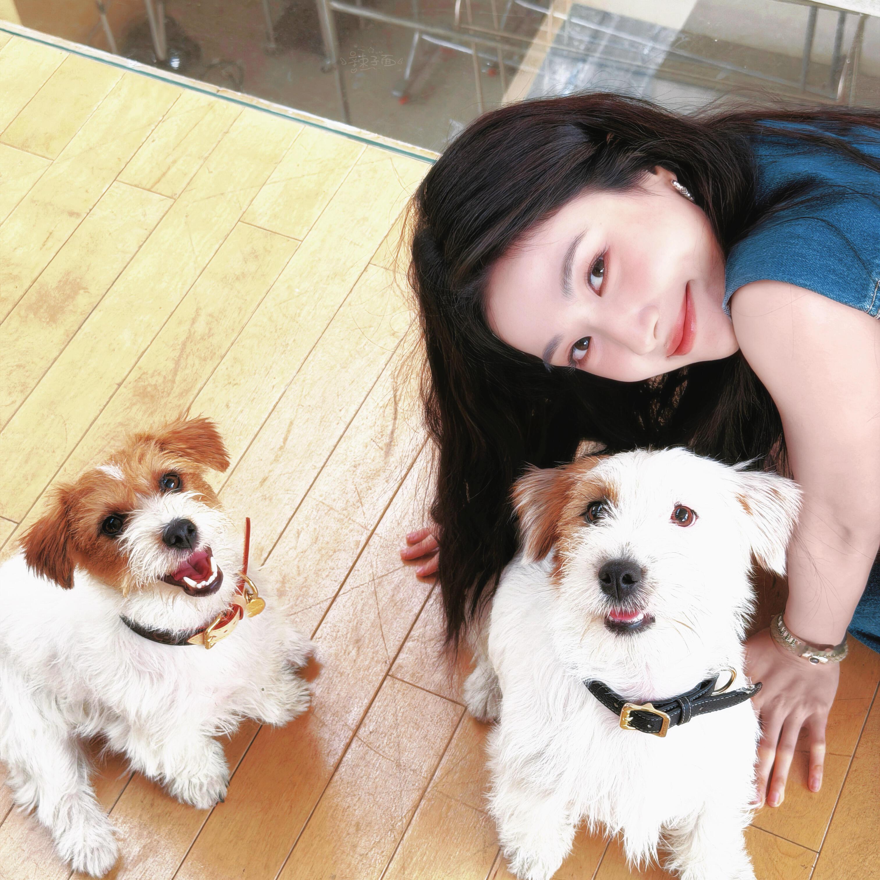 -𝐒𝐇𝐀𝐑𝐄｜卢昱晓头像背景图搭配 ⸝⸝🐕꙳🐾◟🧺。 