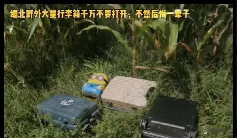 这种箱子要不是人民币就是人民