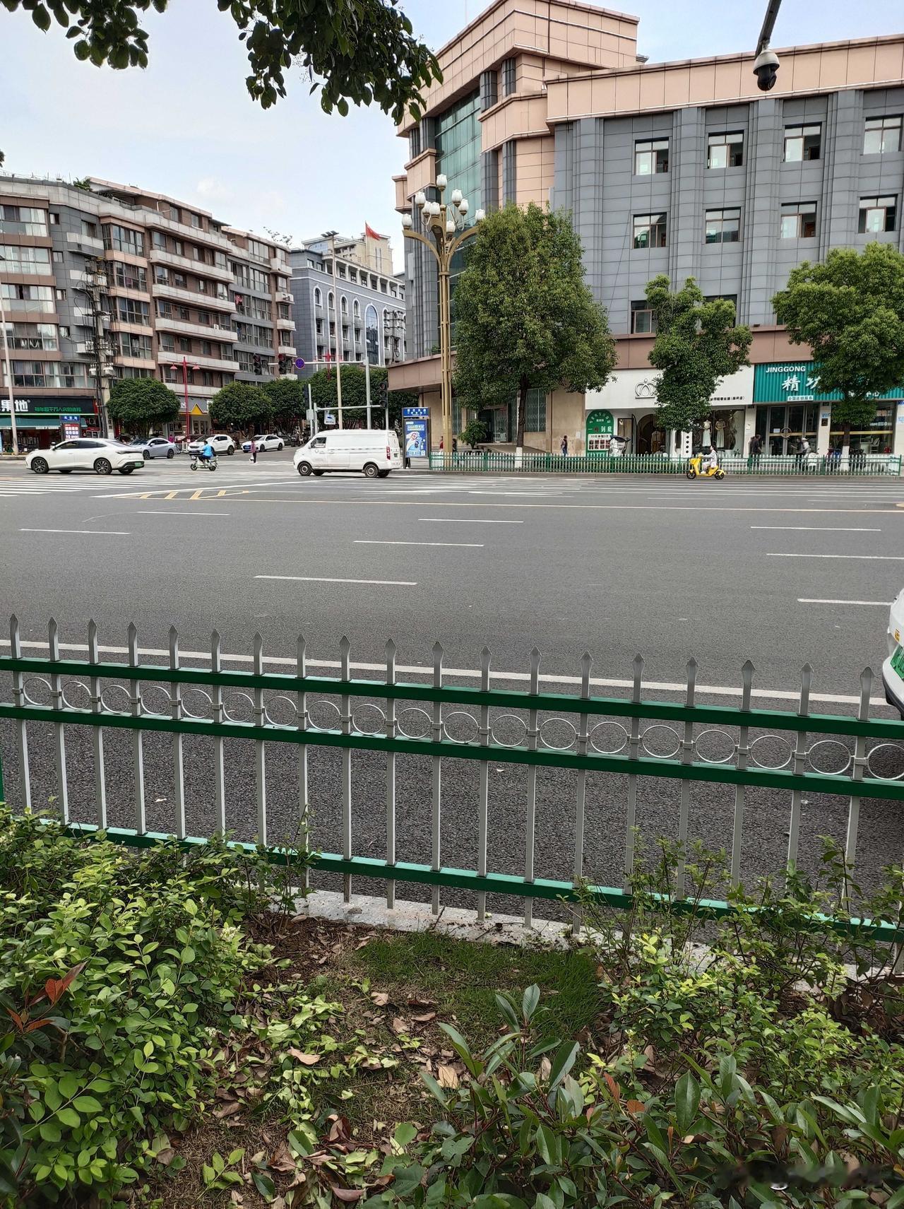 高坪区阳春路，不但大道中间安上了隔离栏，连街边的行道树、绿化也一并围起来了。