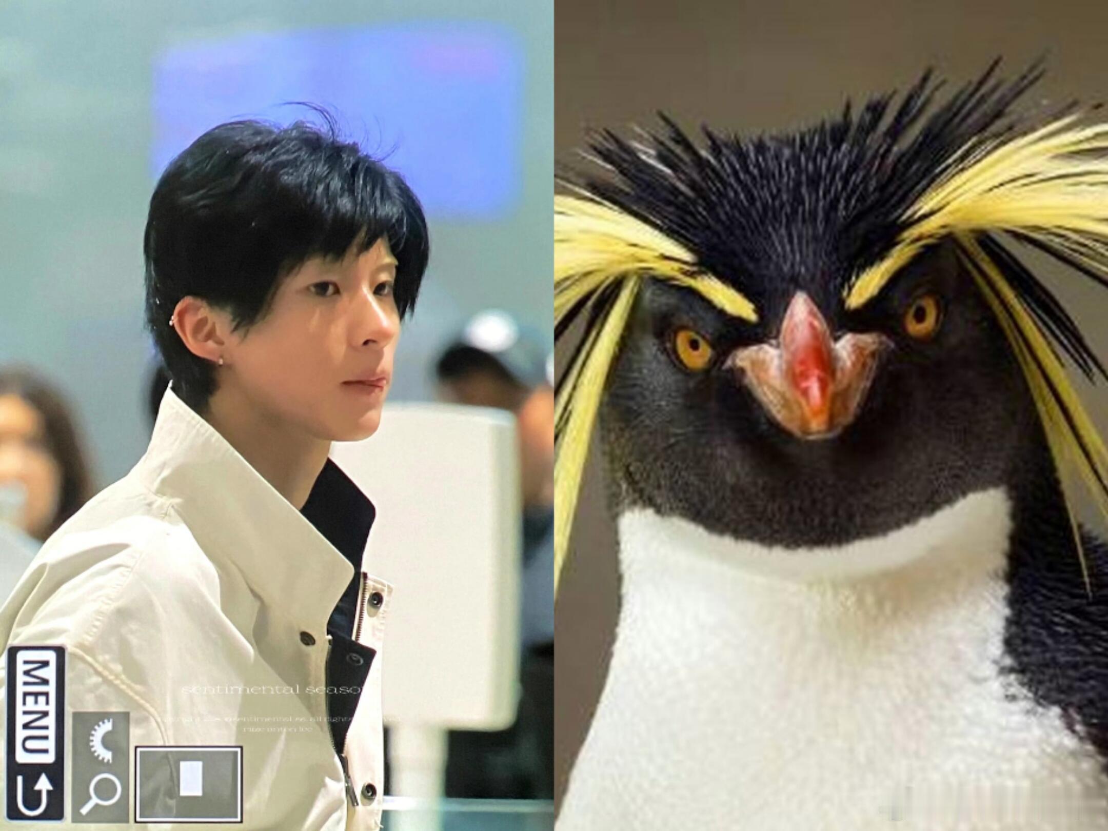 cody害人啊 